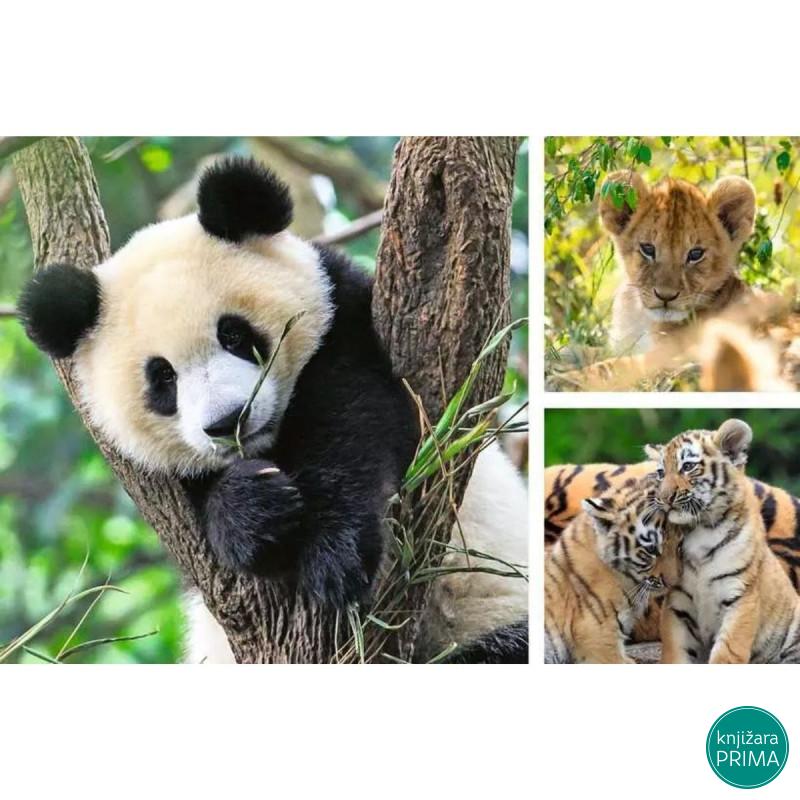 Puzzle RAVENSBURGER Panda Tigar Lav 3x49 