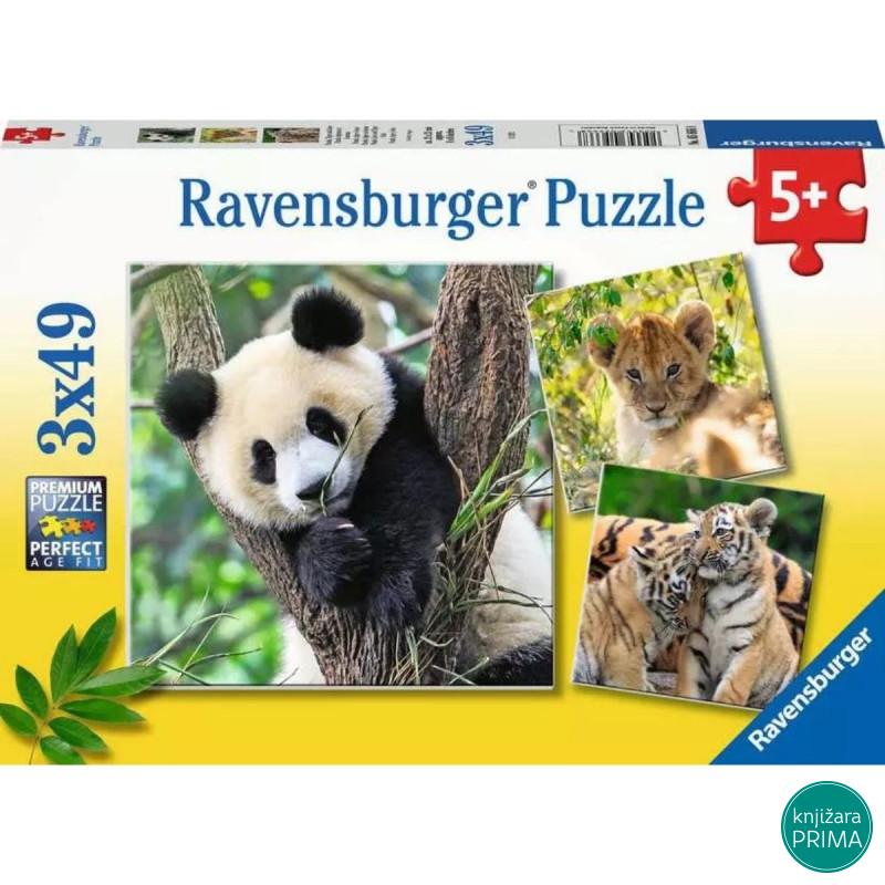 Puzzle RAVENSBURGER Panda Tigar Lav 3x49 