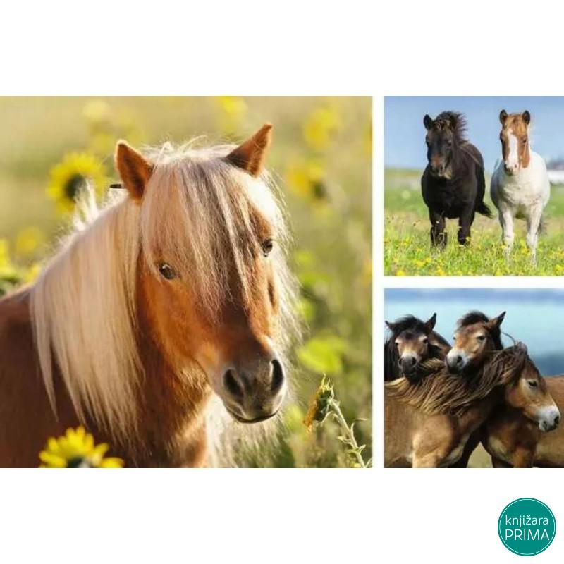 Puzzle RAVENSBURGER Divlji konji 3x49 