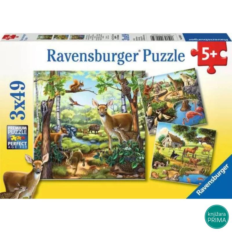 Puzzle RAVENSBURGER Životinje u prirodi 3x49 