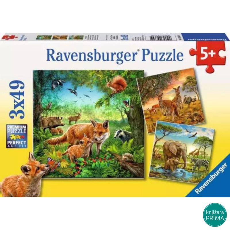 Puzzle RAVENSBURGER Životinje u divljini 3x49 
