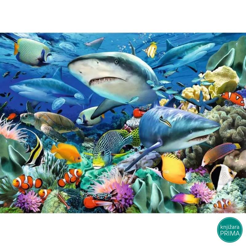 Puzzle RAVENSBURGER Morski pas 100XXL 