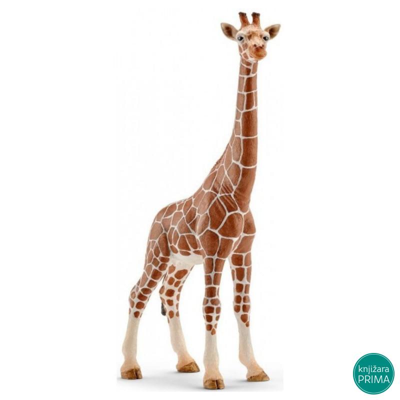 Žirafa ženka SCHLEICH 14750 