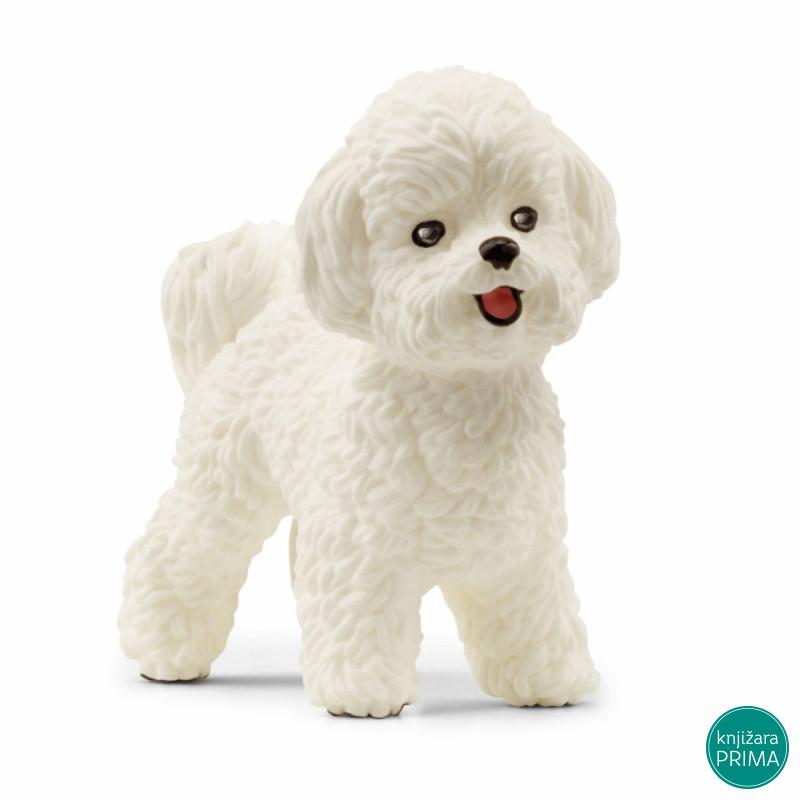 Bišon frize SCHLEICH 13963 