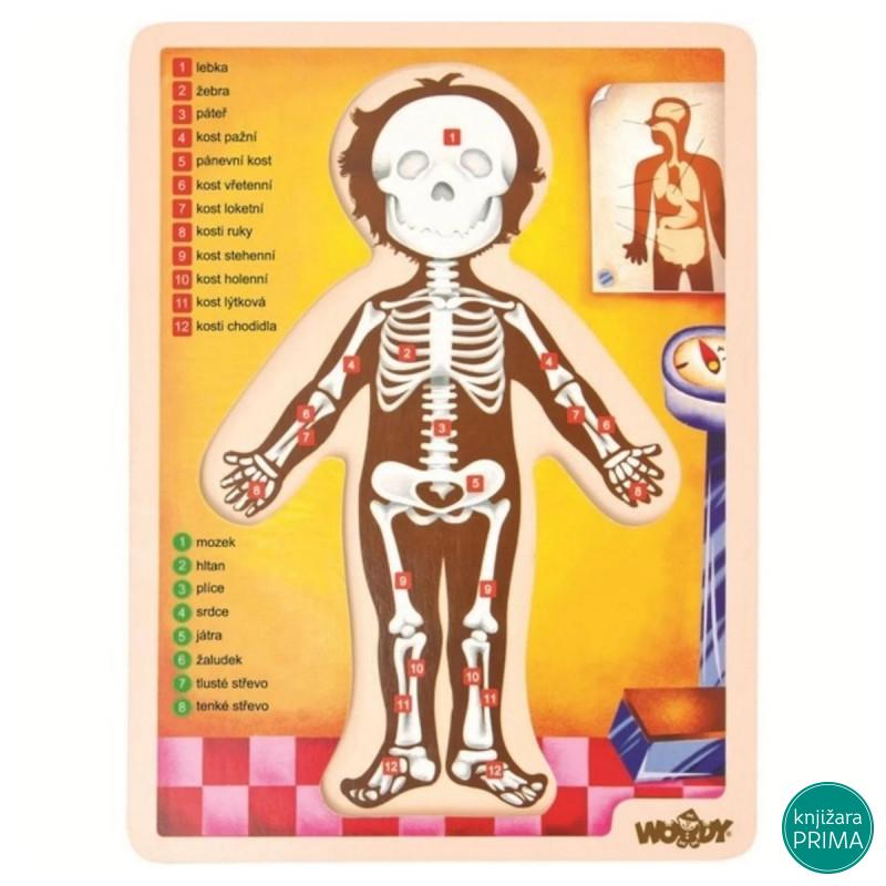 Umetaljka WOODY ljudsko telo 