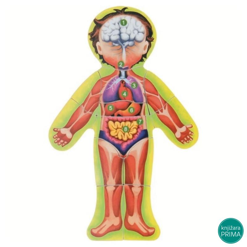 Umetaljka WOODY ljudsko telo 