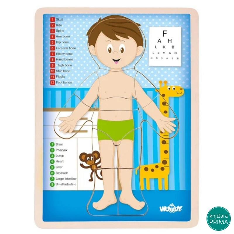 Ljudsko telo WOODY na engleskom 