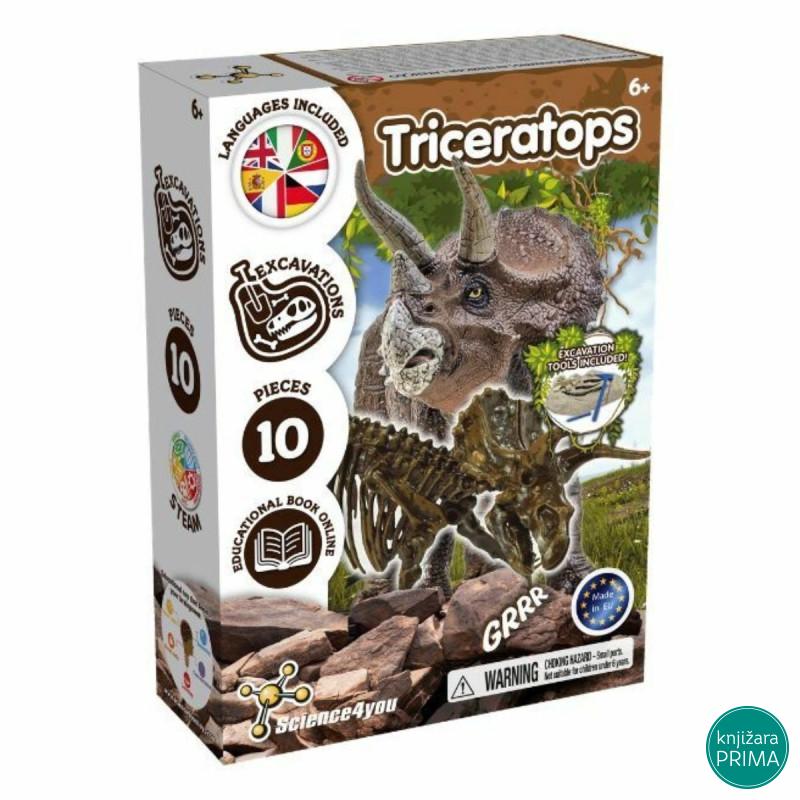 Iskopaj fosil Triceratopsa 