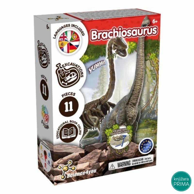 Iskopaj fosil Brahiosaurusa 