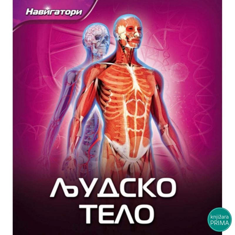 Ljudsko telo PČELICA 