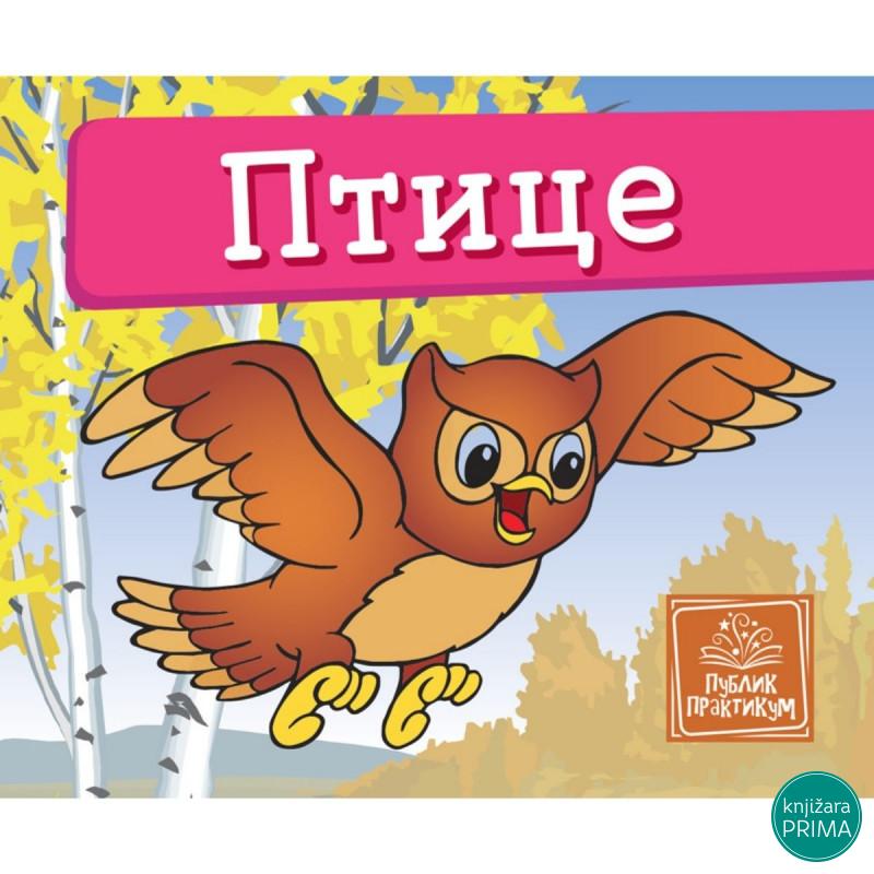 Ptice - Mala kartonska slikovnica PUBLIK PRAKTIKUM 