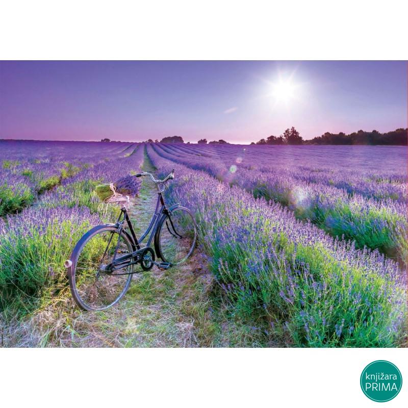 Puzzle EDUCA 1000 Bicikl u lavandi 