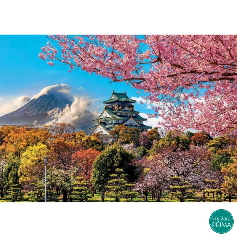 Puzzle EDUCA 2000 Osaka 