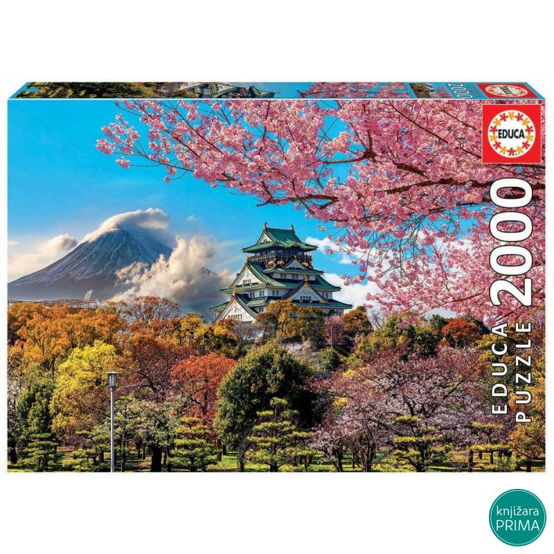 Puzzle EDUCA 2000 Osaka 