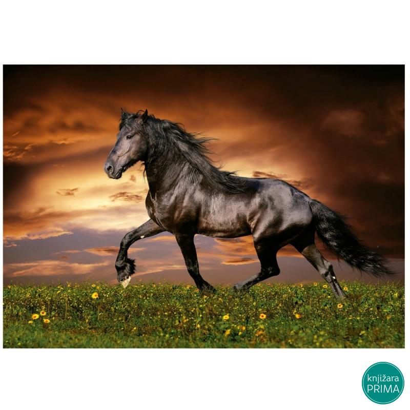 Puzzle EDUCA 1000 Konj 