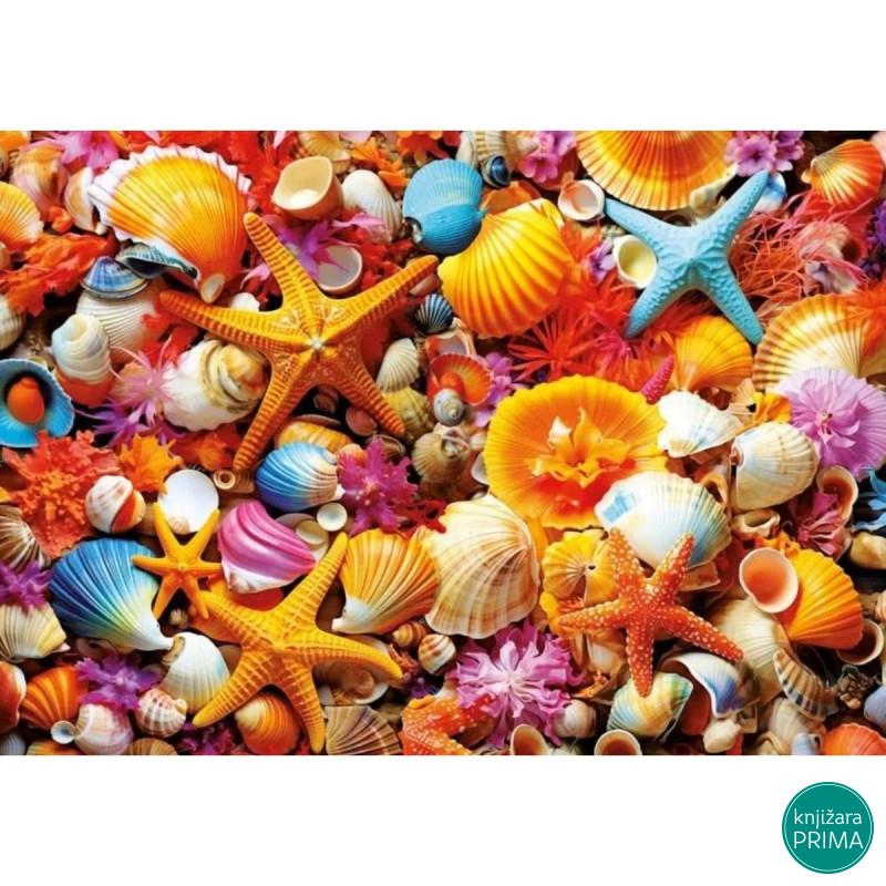 Puzzle EDUCA 1000 Školjke 