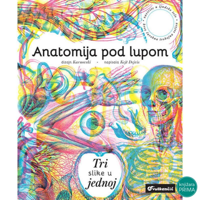 Anatomija pod lupom VULKAN 