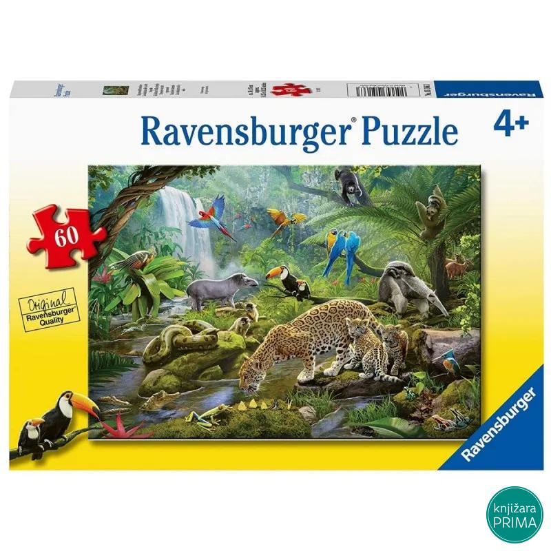 Puzzle RAVENSBURGER Životinje prašume 60 