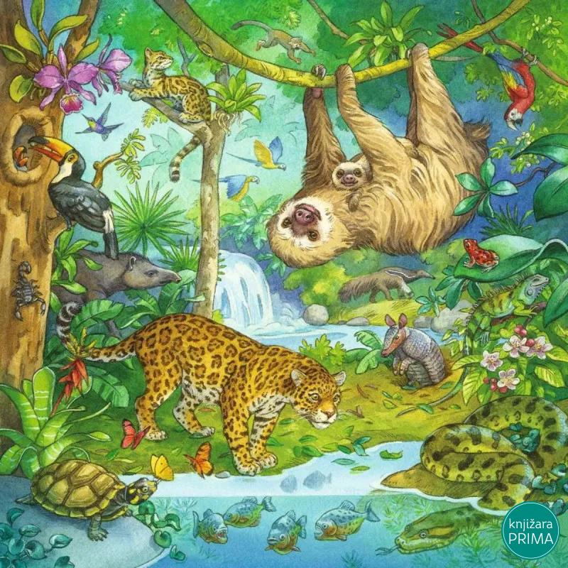 Puzzle RAVENSBURGER Džungla 3u1 